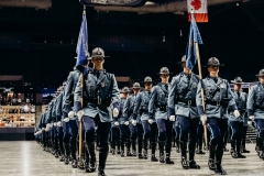 65BF0705-8764-4F95-B897-D53E96DB7FBB-284RTT-Grad